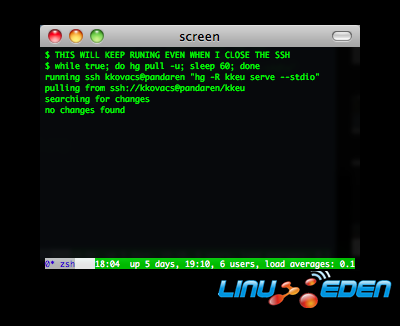 Gnu screen screenshot