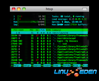 Htop screenshot
