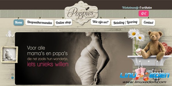 Sliders in Web Design (19)