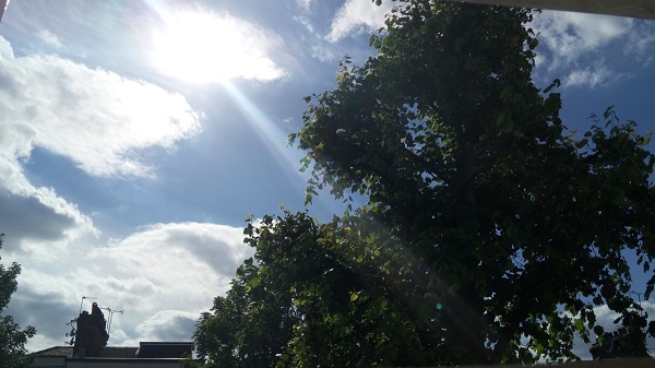 4 image20150627_153658703-1200x675.jpg