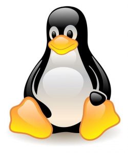 “˽”Linux