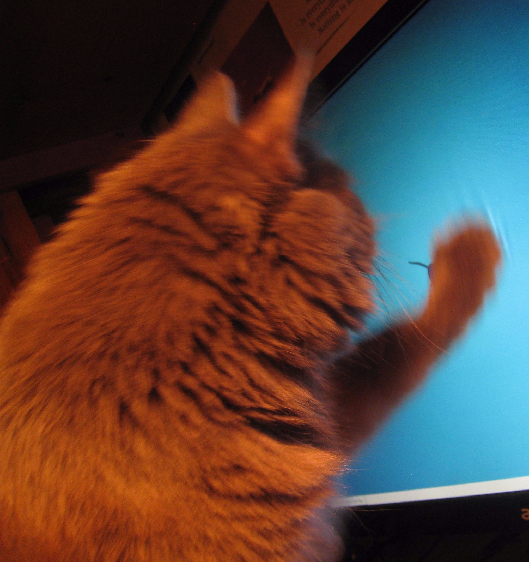 Linux 桌面 Xfce 被曝神级“Bug”，会破坏用户显示器