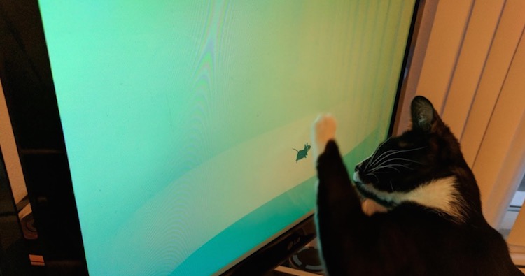 Linux 桌面 Xfce 被曝神级“Bug”，会破坏用户显示器