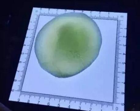 包饺子也能走上人生巅峰?这家饺子店的员工已年入50万!