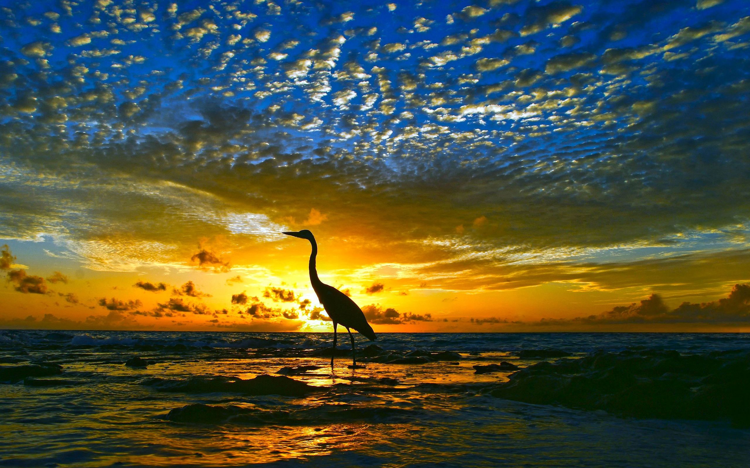 开源美图 2017 03 24