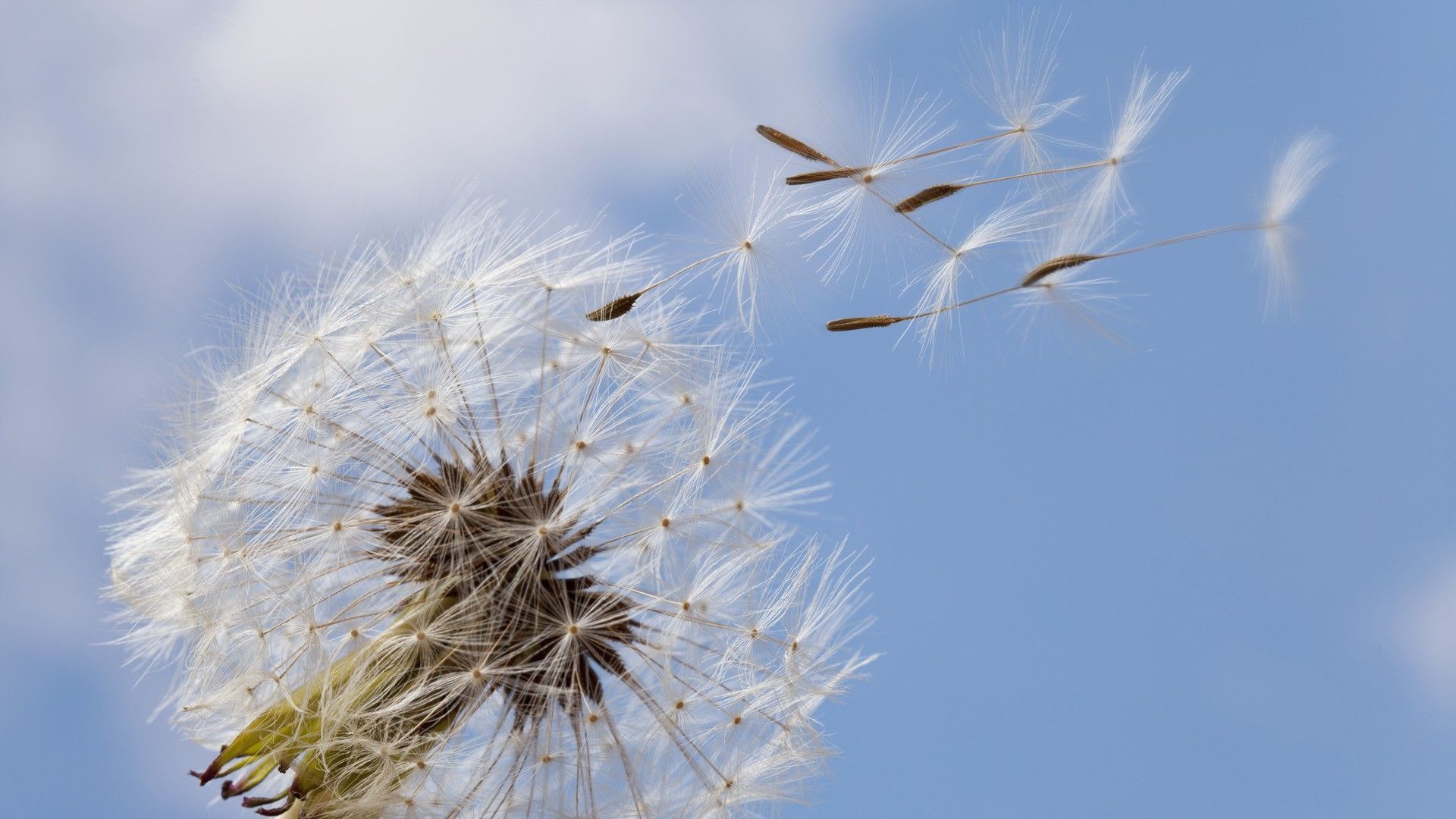 开源美图 2017 03 23