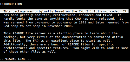 在 Vim 中进行文本选择操作和使用标志
