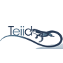 Teiid 9.2.2 发布，数据虚拟化系统