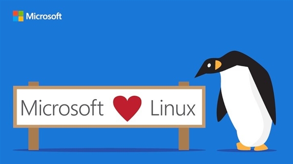真爱！Linux 子系统登陆 Windows 服务器