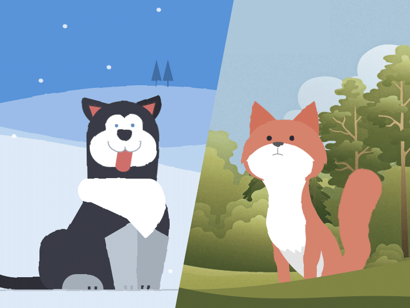 CSS3 SVG实现可爱的动物哈士奇和狐狸动画