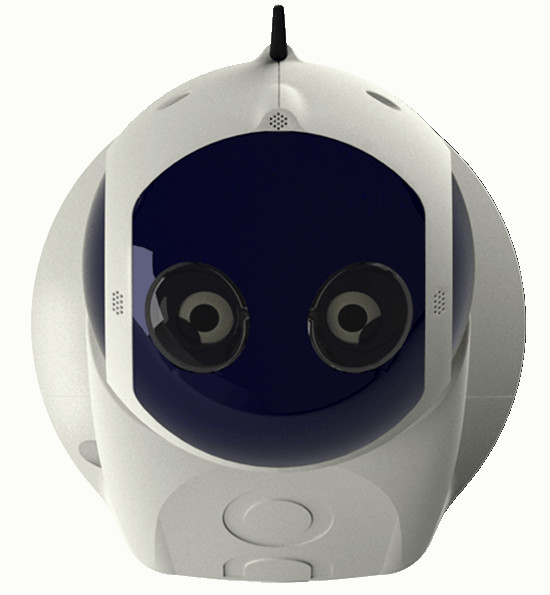 运行在树莓派和 Arduino 上的开源社交机器人套件