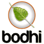 Bodhi Linux 4.4.0 发布，基于 Ubuntu 的发行