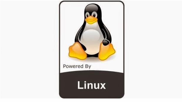Linux Kernel 4.16 系列停止维护，用户应升级至 4.17