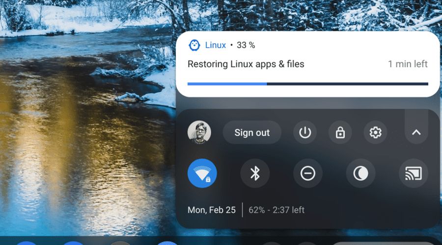 Chrome OS 开发者版现可备份和恢复 Linux 容器