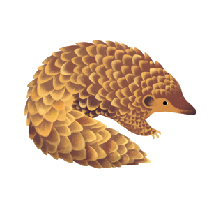 轻舟已过万重山:专访网易云陈谔