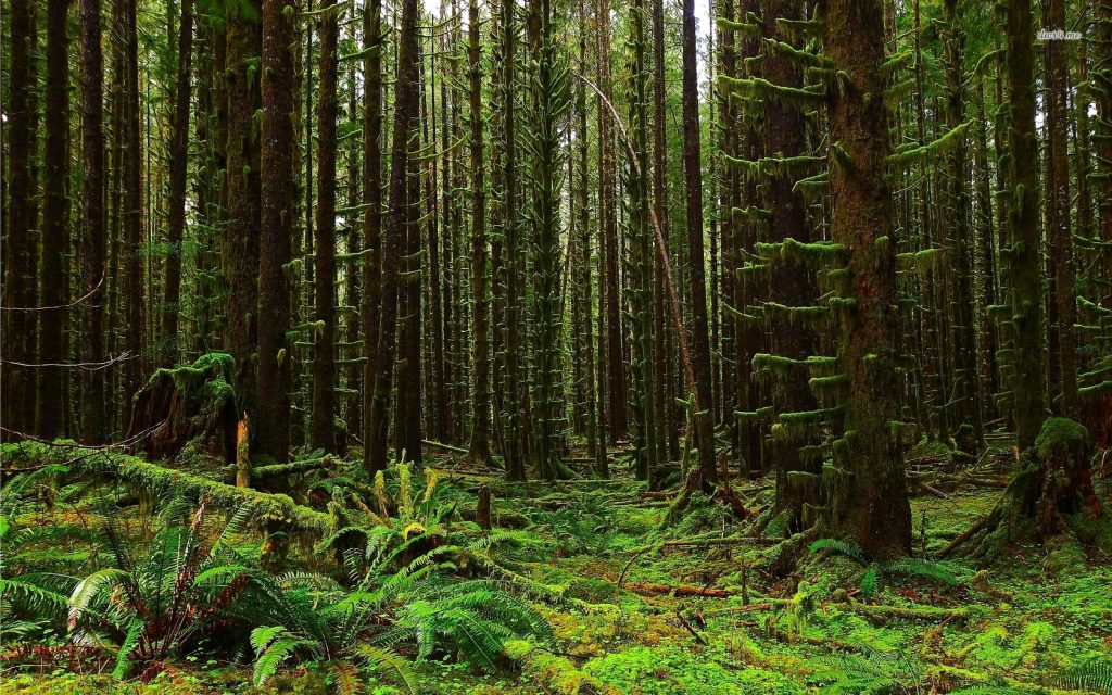 开源美图 2019 08 06