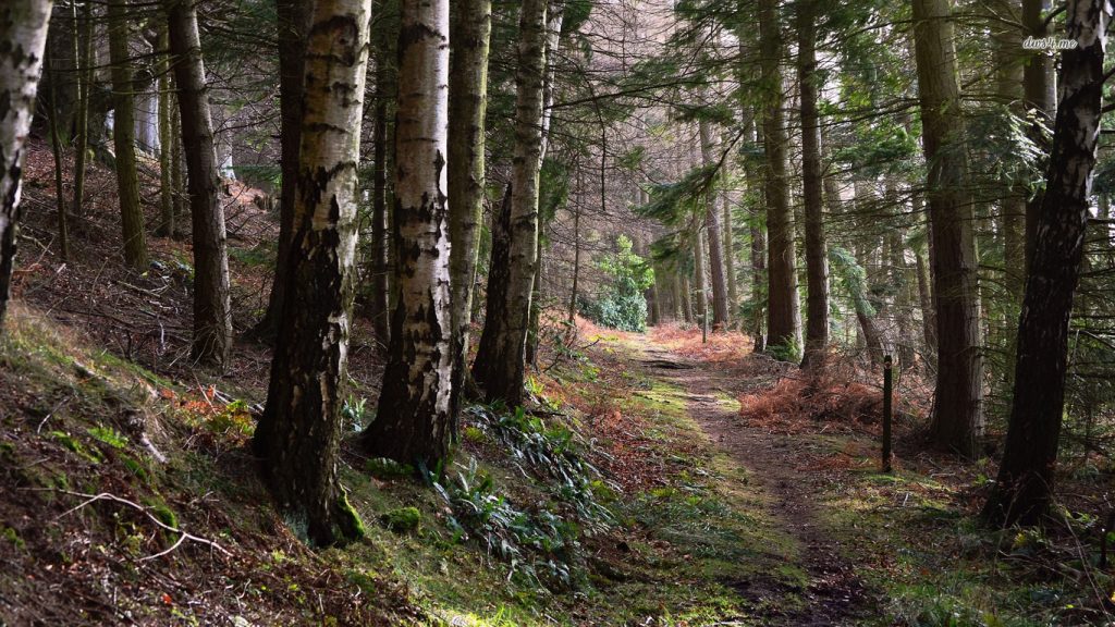 开源美图 2019 08 05