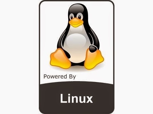 Linux 5.10 内核确认成为下一个LTS版本