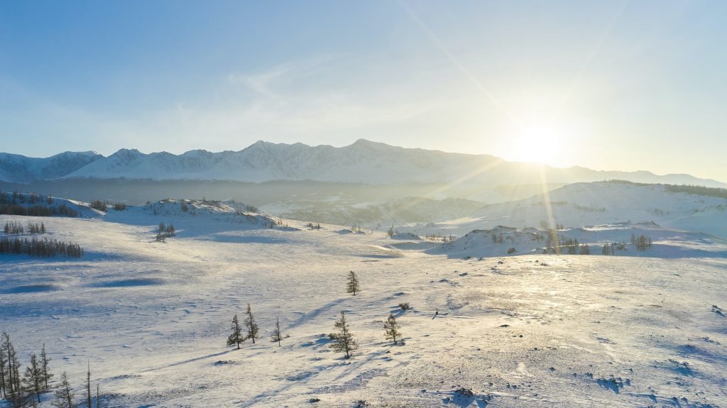 开源美图 2021 01 30