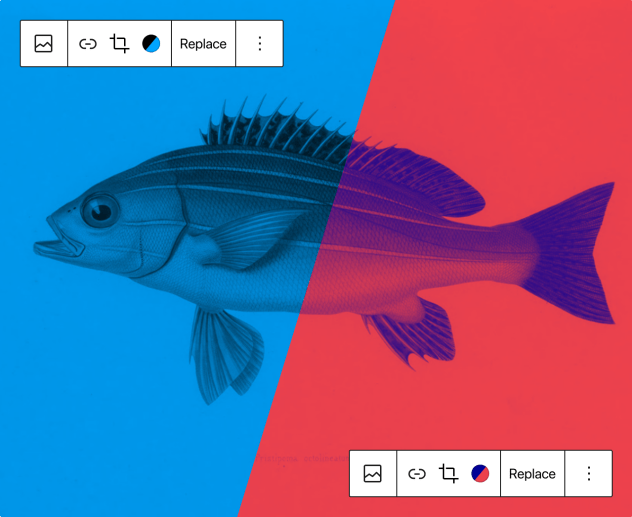WordPress 5.8 Tatum 发布