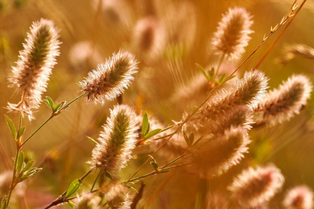 开源美图 2021 10 13