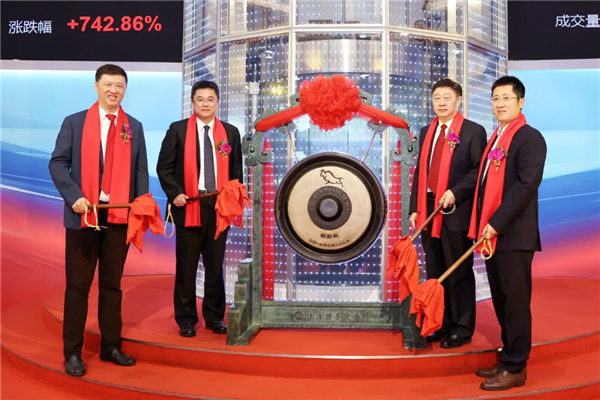 从进口替代到全球一流!中国第一家上市的芯片设计公司 成立只用了5分钟