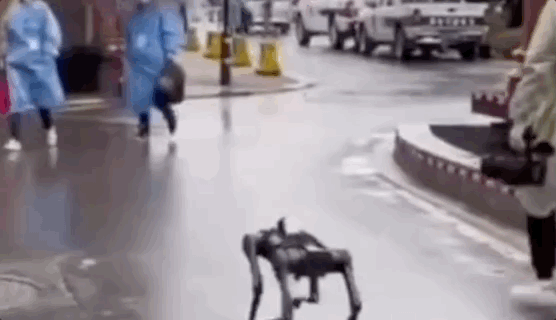 机器狗常州巡逻防疫 网友：给孩子安个狗头吧