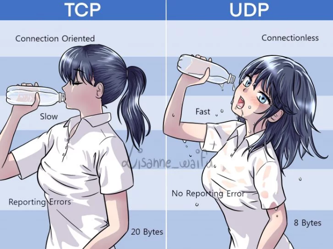 IP协议从入门到精通之：图解TCP和UDP进一步强化