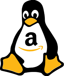 基于 Fedora的Amazon Linux 2022 发布