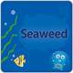 Seaweedfs 3.41发布