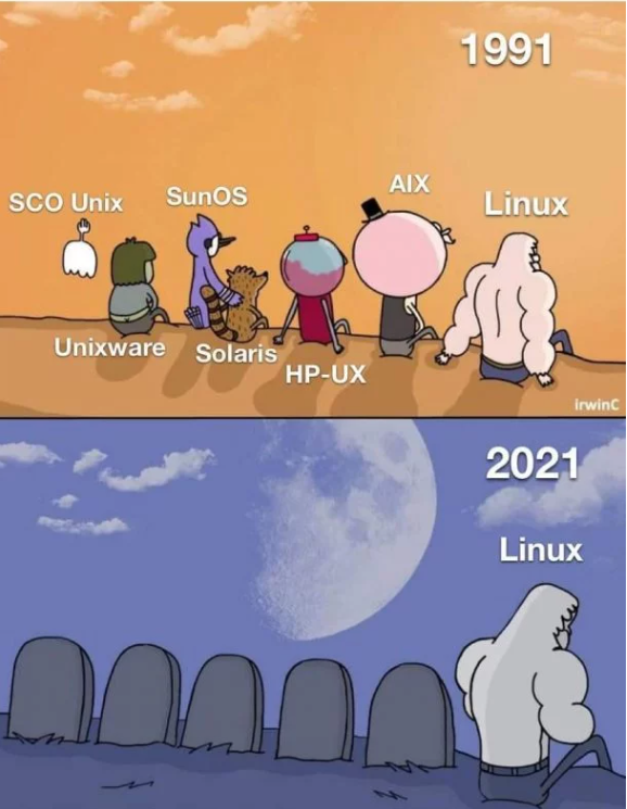 上世纪90年代曾经是操作系统百花齐放的时代