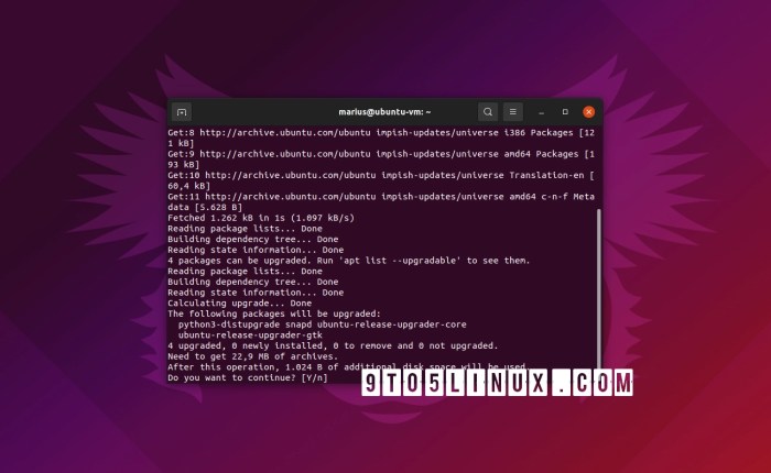 您现在可以将 Ubuntu 21.10 升级到 Ubuntu 22.04 LTS，方法如下