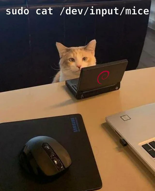 我家的猫企图执行如下Linux命令