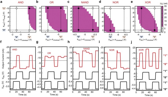 日本科研团队介绍具有五种逻辑门状态的有机双栅极反双晶体管