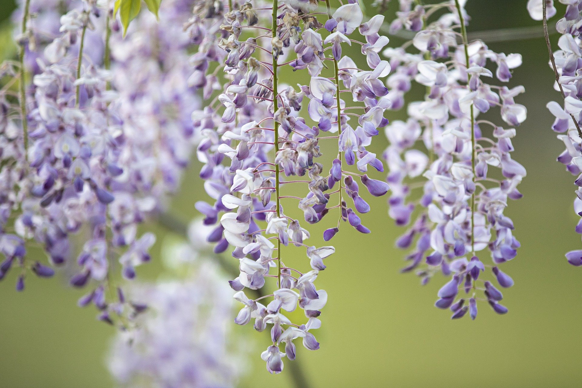 开源美图 2022 05 12