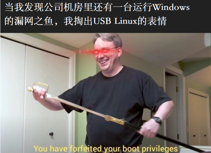 当我发现公司机房里还有一台服务器在运行Window$时的表情