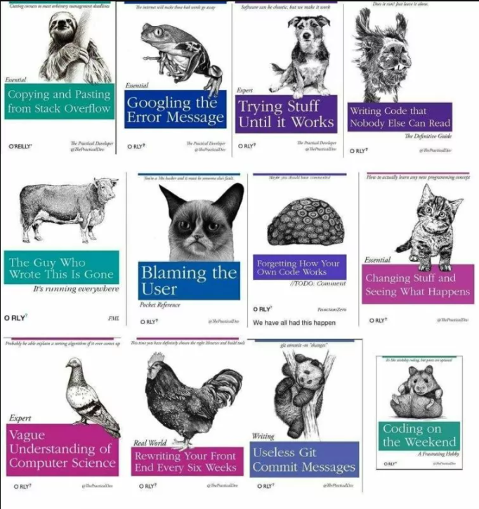 公司的老员工推荐的O'Reilly图书，他说是职场生存手册