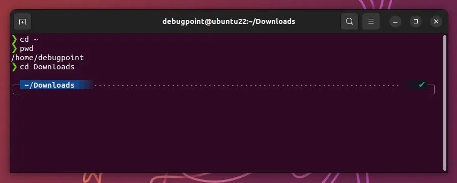 Oh My Zsh 和 Powerlevel10k:天作之合