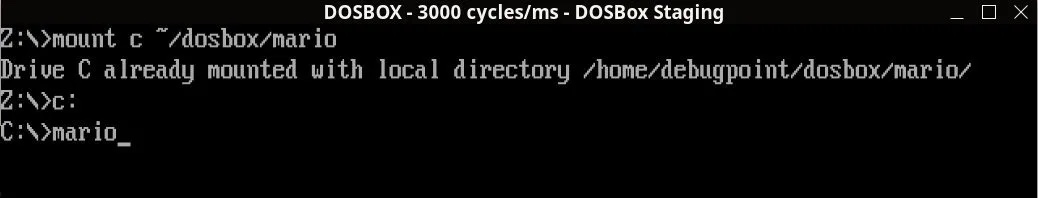 如何在 Ubuntu 中安装 DOSBox 玩老游戏