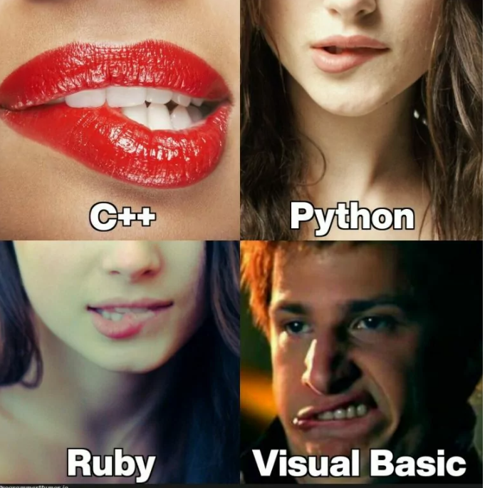 各种编程语言哪个对你诱惑最大