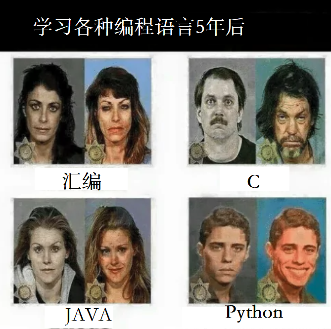 程序猿在使用不同编程语言5年后的变化