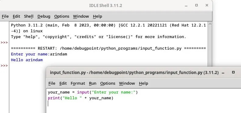 Python 中的输入函数：概念和示例