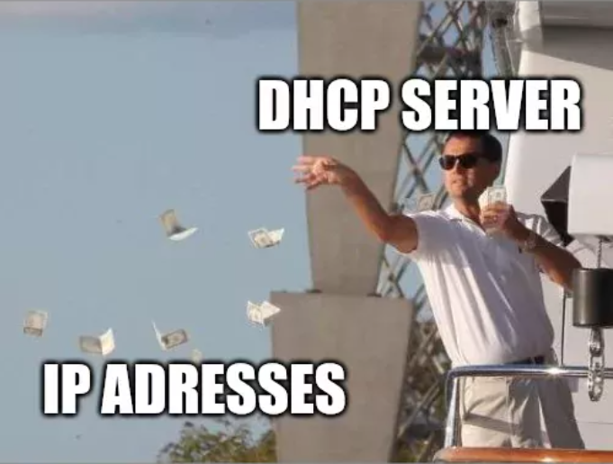 一张图看懂DHCP协议