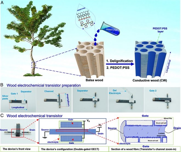 全球首个木质晶体管出世:长约3厘米 可承受高电流冲击
