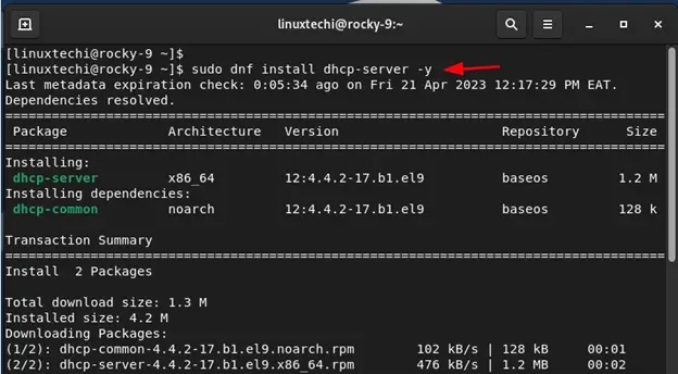 如何在 RHEL 9 上配置 DHCP 服务器
