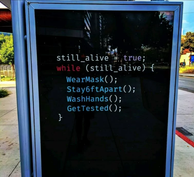 后疫情重阳时代，代码为您健康指路，IT男秒懂