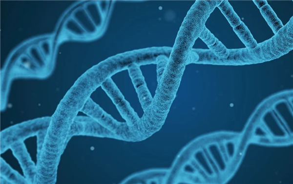 量子计算机首次识别出单个核苷酸:有望推动癌症、传染病研究