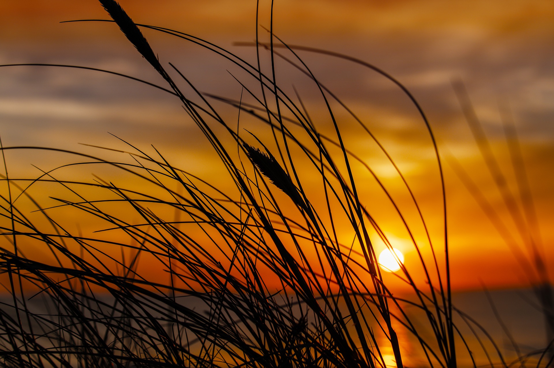 开源美图 2023 12 22