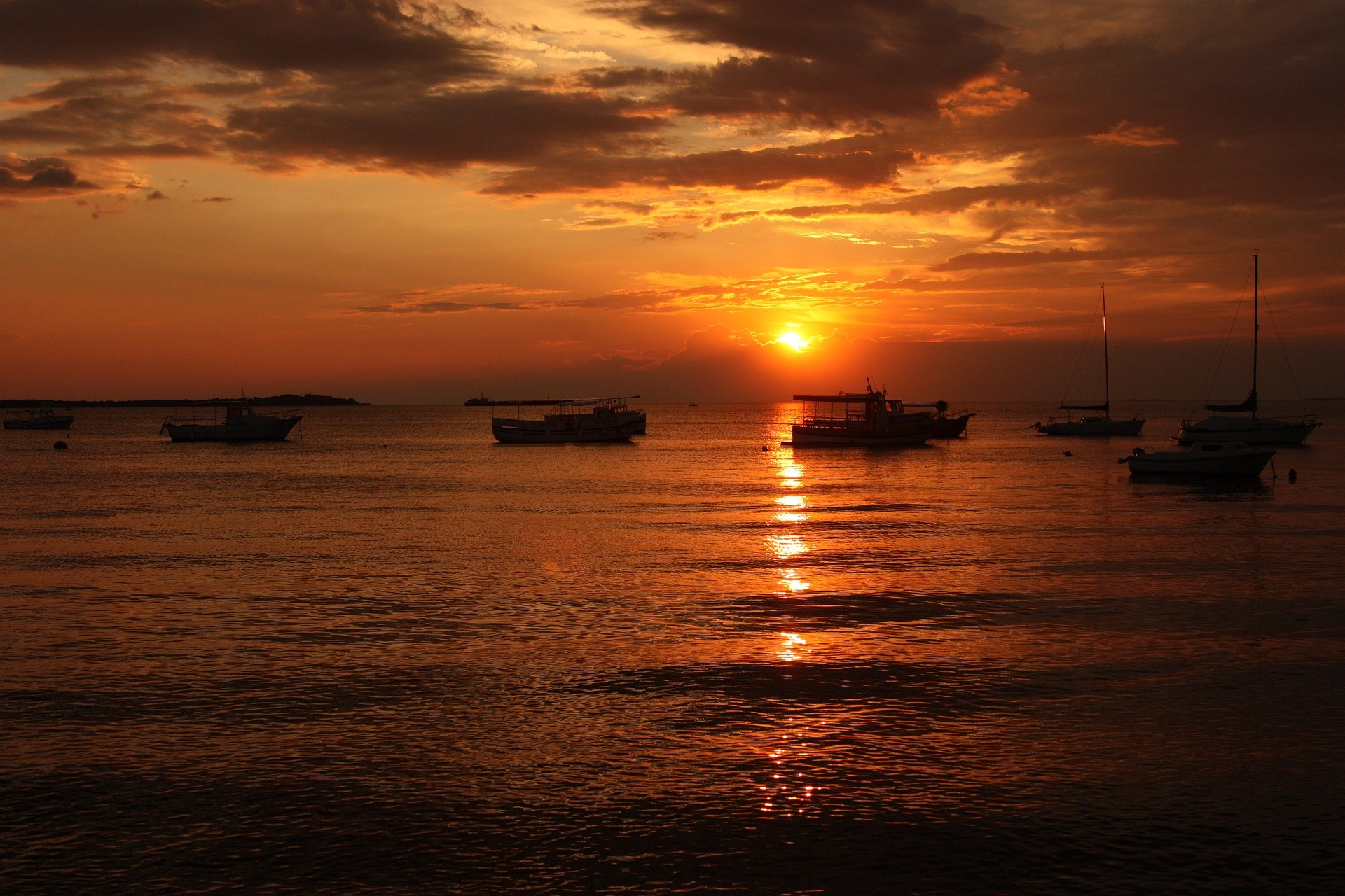 开源美图 2024 02 29