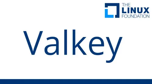 Linux 基金会推出 Valkey 作为 Redis 的分叉
